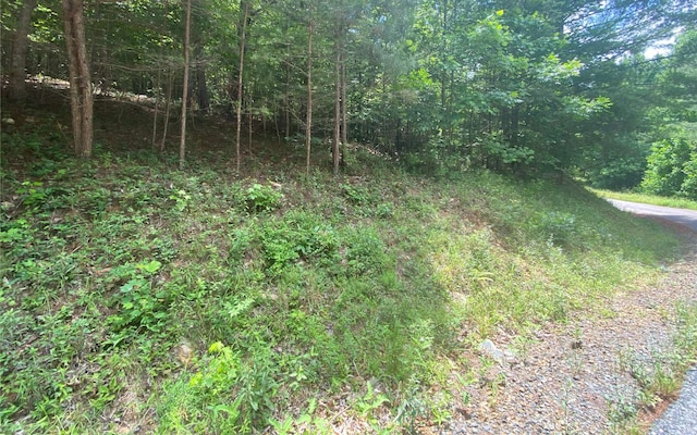 LOT60 Choctaw Ridge Trl, Murphy NC, 28903 land for sale