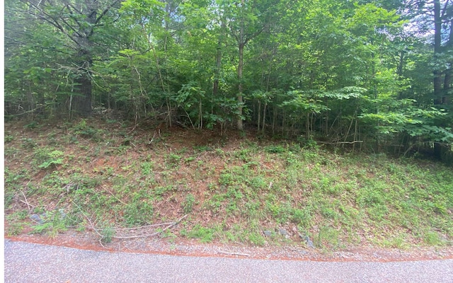 Listing photo 2 for LOT60 Choctaw Ridge Trl, Murphy NC 28903