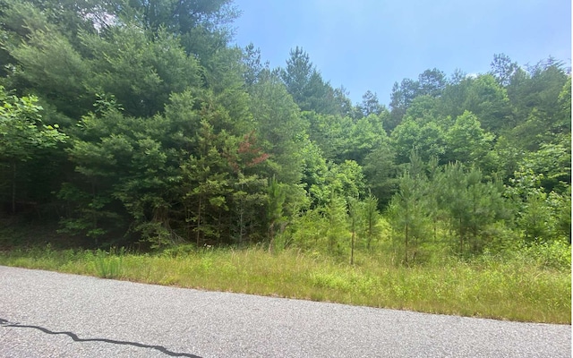 Listing photo 3 for LOT60 Choctaw Ridge Trl, Murphy NC 28903