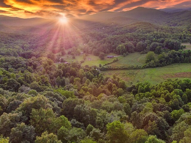370 High Ridge Rd, Epworth, GA 30513 - view of mountain background with a heavily wooded area