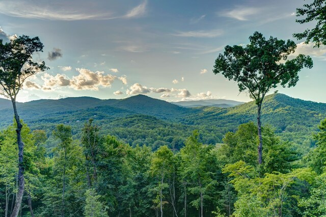 370 High Ridge Rd, Epworth, GA 30513 - view of mountain backdrop with a heavily wooded area