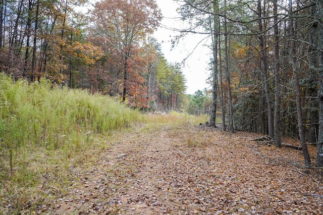 00 Rizzitello Ln, Blairsville, GA 30512
