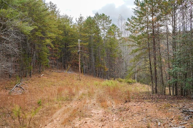 00 Rizzitello Ln, Blairsville, GA 30512