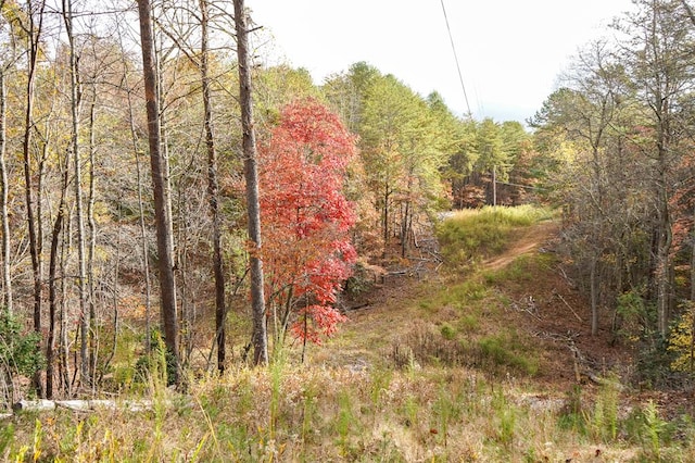 00 Rizzitello Ln, Blairsville, GA 30512