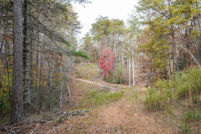 00 Rizzitello Ln, Blairsville, GA 30512