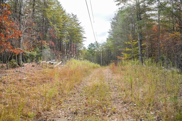 00 Rizzitello Ln, Blairsville, GA 30512