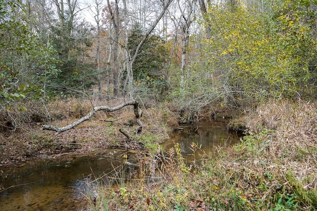 00 Rizzitello Ln, Blairsville, GA 30512