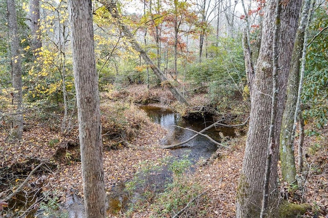 00 Rizzitello Ln, Blairsville, GA 30512