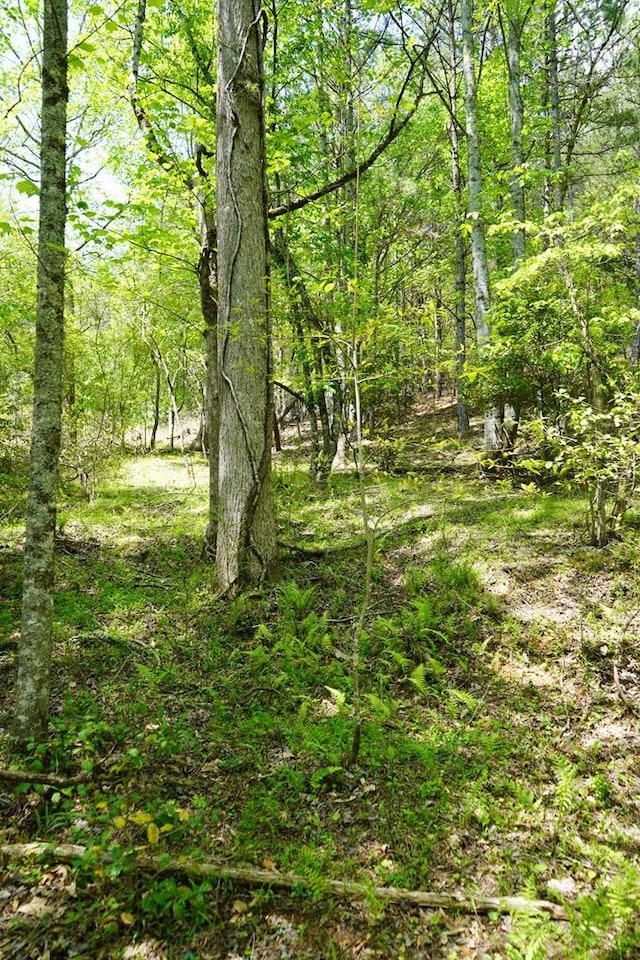 00 Rizzitello Ln, Blairsville, GA 30512