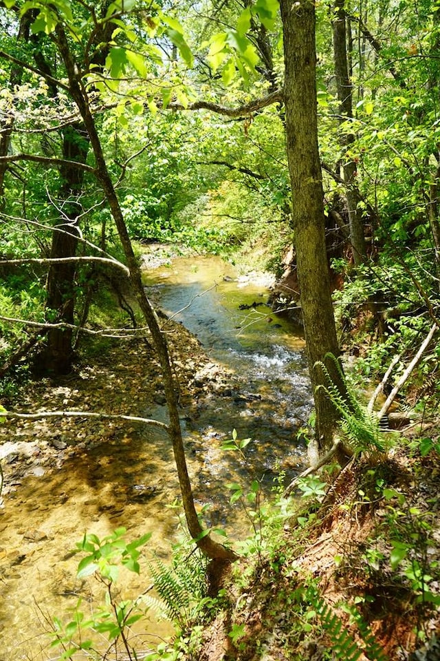 00 Rizzitello Ln, Blairsville, GA 30512