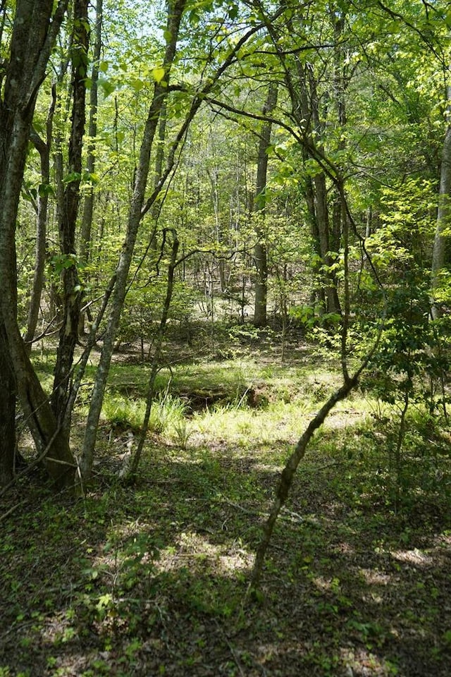 00 Rizzitello Ln, Blairsville, GA 30512
