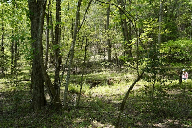 00 Rizzitello Ln, Blairsville, GA 30512