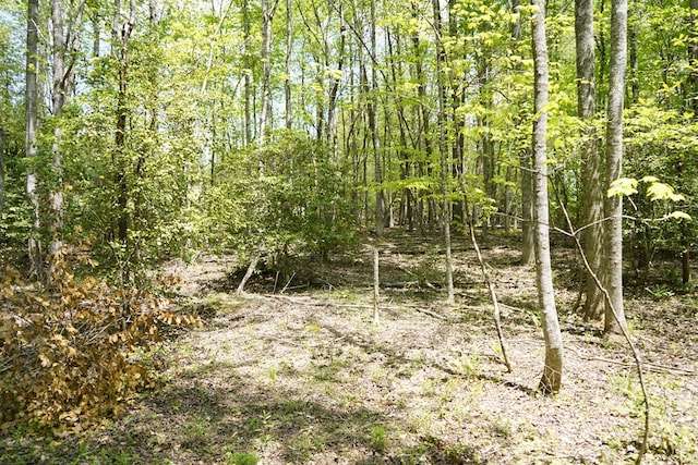 00 Rizzitello Ln, Blairsville, GA 30512