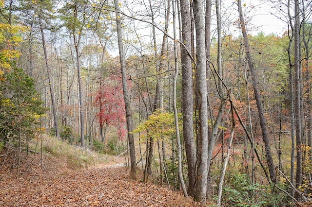 00 Rizzitello Ln, Blairsville, GA 30512