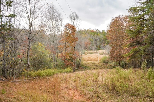 00 Rizzitello Ln, Blairsville, GA 30512