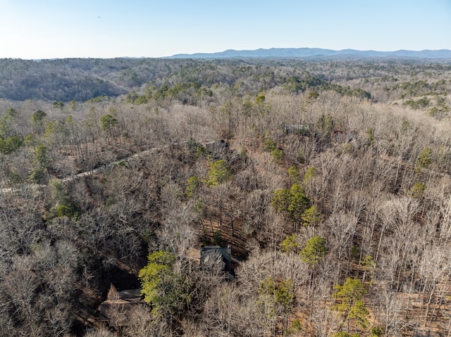 drone / aerial view featuring a mountain view