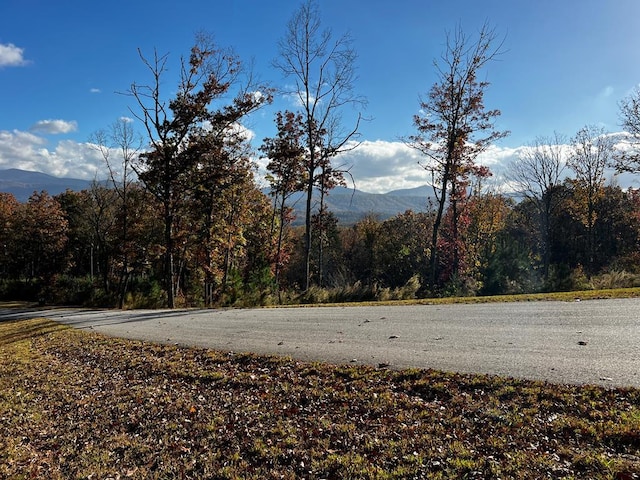 Listing photo 2 for LOT118 Winding Rdg, Blairsville GA 30512