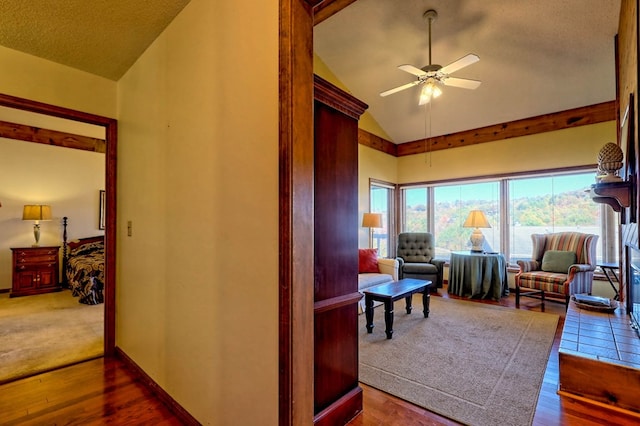 interior space featuring ceiling fan, high vaulted ceiling, and dark hardwood / wood-style flooring