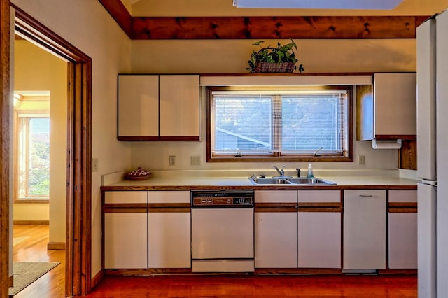 kitchen featuring sink, light hardwood / wood-style flooring, and dishwasher