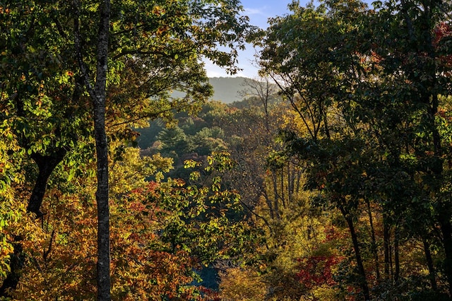 view of mountain feature