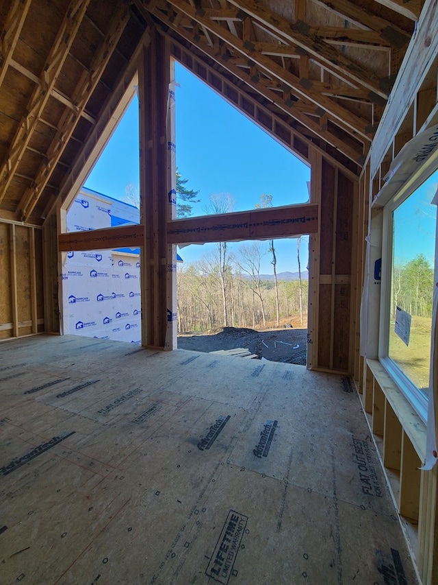 miscellaneous room with lofted ceiling