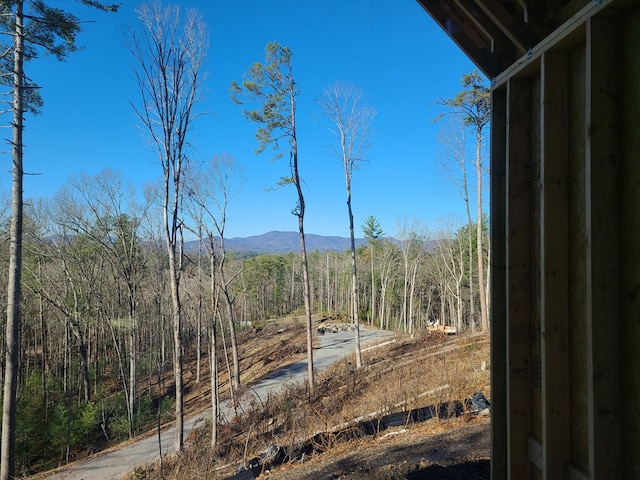 mountain view with a forest view