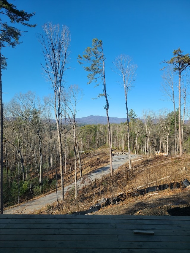 exterior space featuring a mountain view