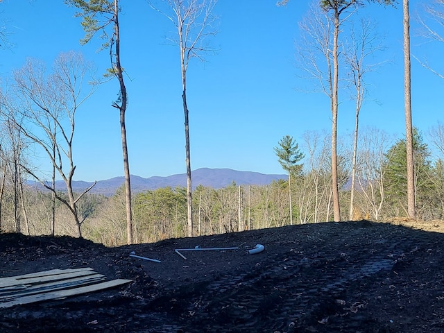 property view of mountains with a forest view