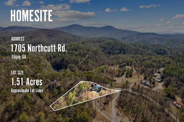 aerial view featuring a forest view and a mountain view