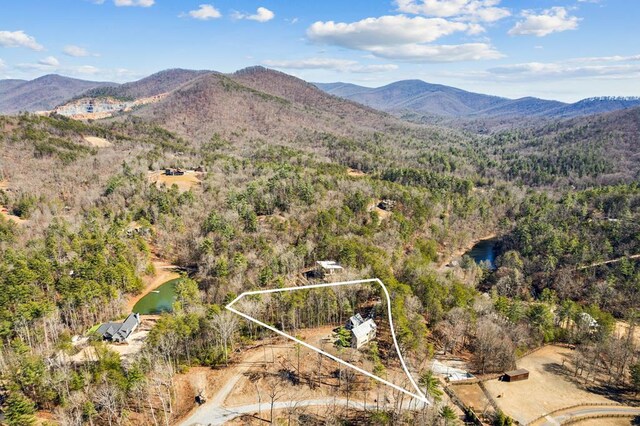 aerial view with a mountain view and a view of trees