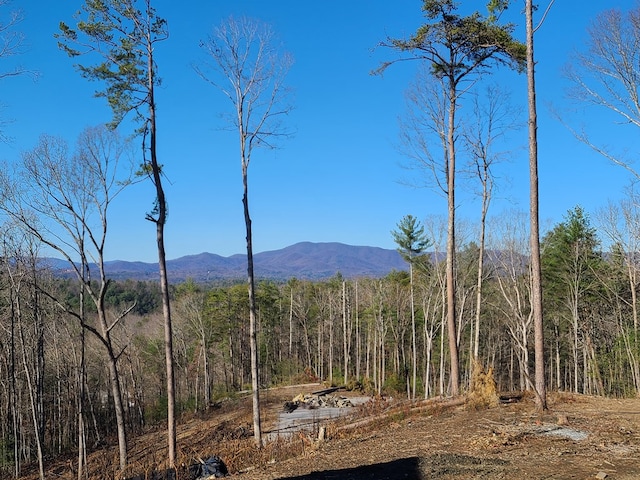 view of mountain feature with a forest view