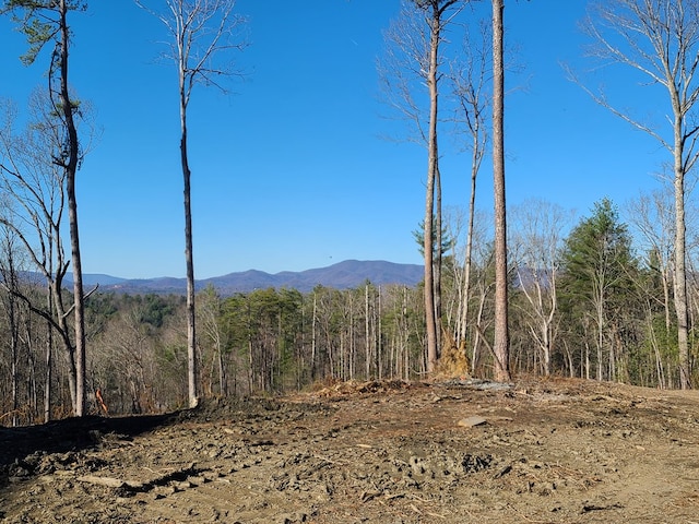 view of mountain feature featuring a view of trees