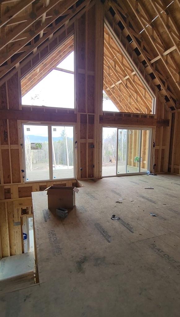 attic with plenty of natural light