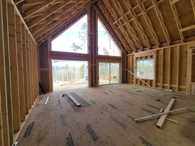 miscellaneous room featuring high vaulted ceiling