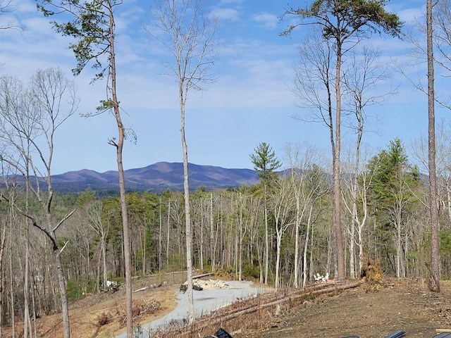 property view of mountains featuring a forest view