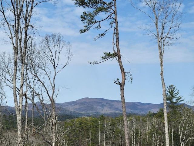 mountain view featuring a forest view