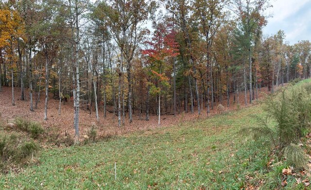 LOT41 Ridge Dr, Morganton GA, 30560 land for sale