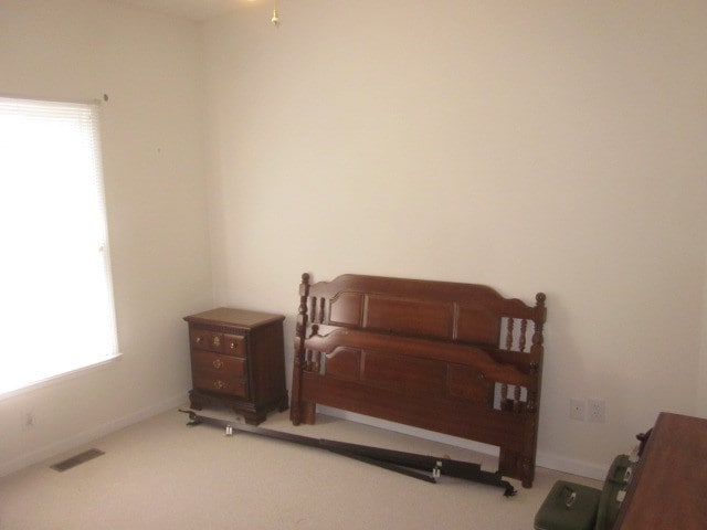 629 Camp Branch Rd, Ellijay, GA 30540 - view of carpeted bedroom