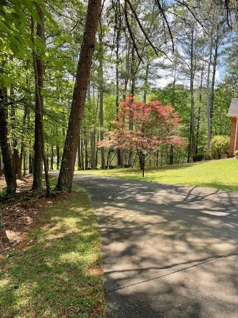 629 Camp Branch Rd, Ellijay, GA 30540 - view of road