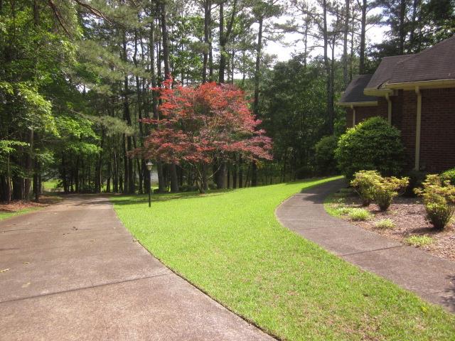 629 Camp Branch Rd, Ellijay, GA 30540 - view of grassy yard with concrete driveway