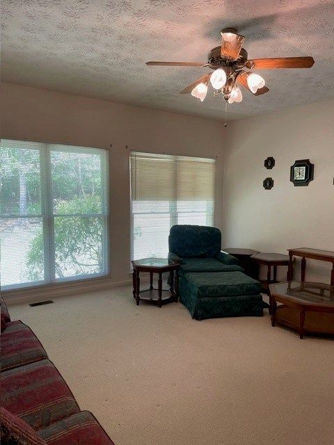 629 Camp Branch Rd, Ellijay, GA 30540 - living area with carpet, a textured ceiling, and a ceiling fan