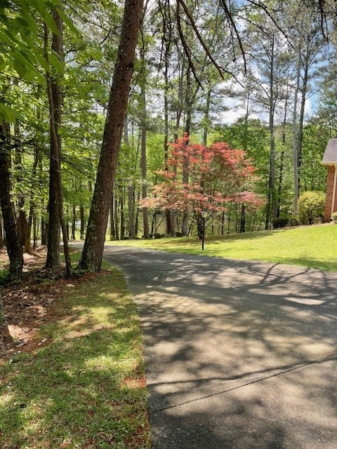 629 Camp Branch Rd, Ellijay, GA 30540 - view of road