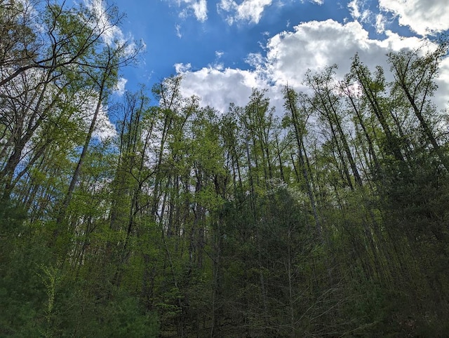 00 Buck Creek Trl, Epworth, GA 30541