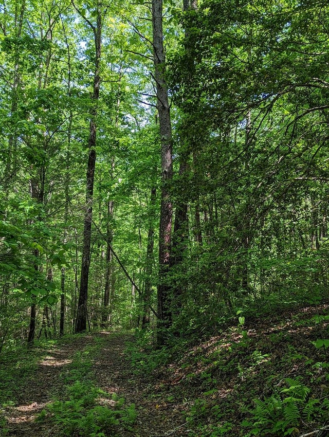00 Buck Creek Trl, Epworth, GA 30541