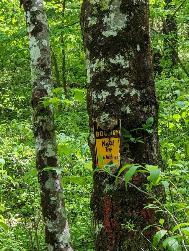 00 Buck Creek Trl, Epworth, GA 30541