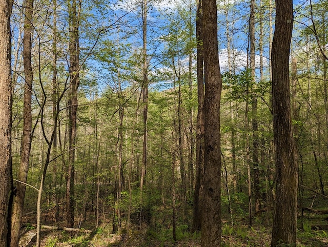00 Buck Creek Trl, Epworth, GA 30541