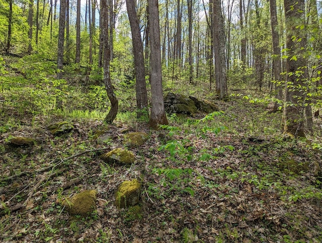 00 Buck Creek Trl, Epworth, GA 30541