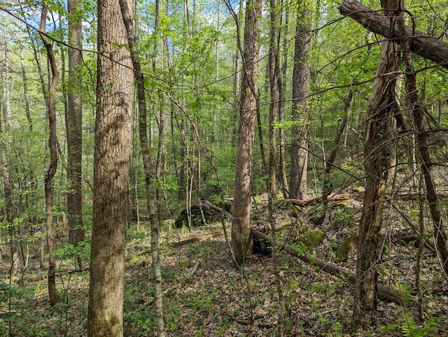00 Buck Creek Trl, Epworth, GA 30541