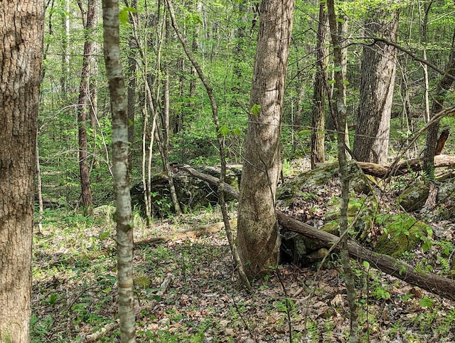 00 Buck Creek Trl, Epworth, GA 30541