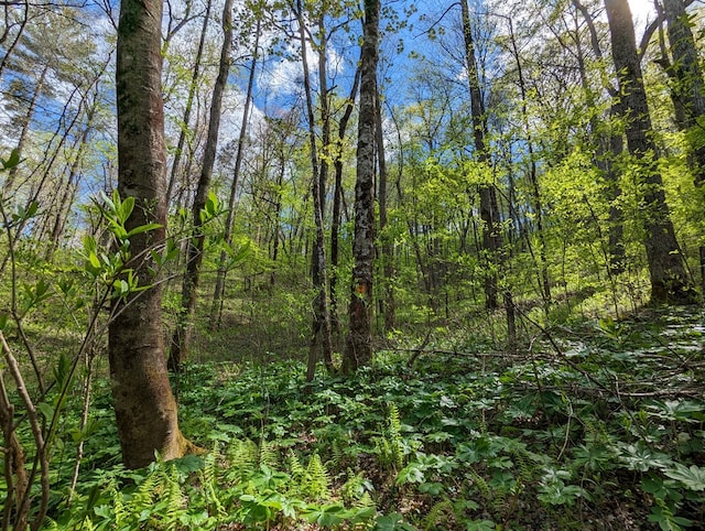 00 Buck Creek Trl, Epworth, GA 30541